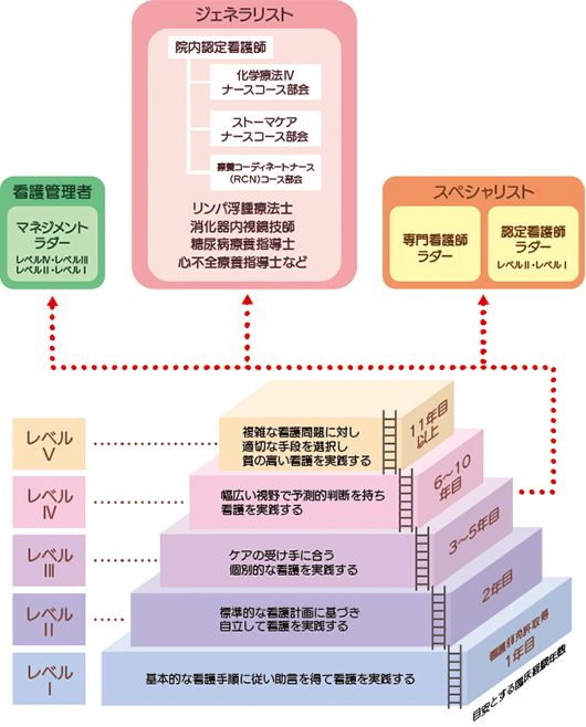 キャリア開発ラダー